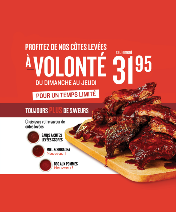 site web – fond couleur (1600 x 1933 px)